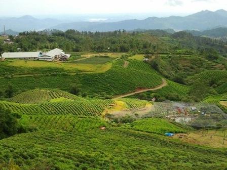air panas lejja, benteng rotterdam, danau tempe, fort rotterdam, jalan somba opu, lejja, makassar, malino, pantai losari, pemandian air panas lejja, taman laut taka bonerate, taman nasional bantimurung, tanjung bira, tempat wisata, tempat wisata di makassar, tempat wisata makassar, trans studio, trans studio makassar, wisata makassar, top 51+ tempat wisata di makassar terbaik & terhits yang wajib dikunjungi