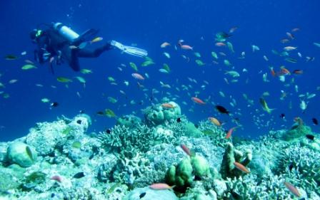 air panas lejja, benteng rotterdam, danau tempe, fort rotterdam, jalan somba opu, lejja, makassar, malino, pantai losari, pemandian air panas lejja, taman laut taka bonerate, taman nasional bantimurung, tanjung bira, tempat wisata, tempat wisata di makassar, tempat wisata makassar, trans studio, trans studio makassar, wisata makassar, top 51+ tempat wisata di makassar terbaik & terhits yang wajib dikunjungi