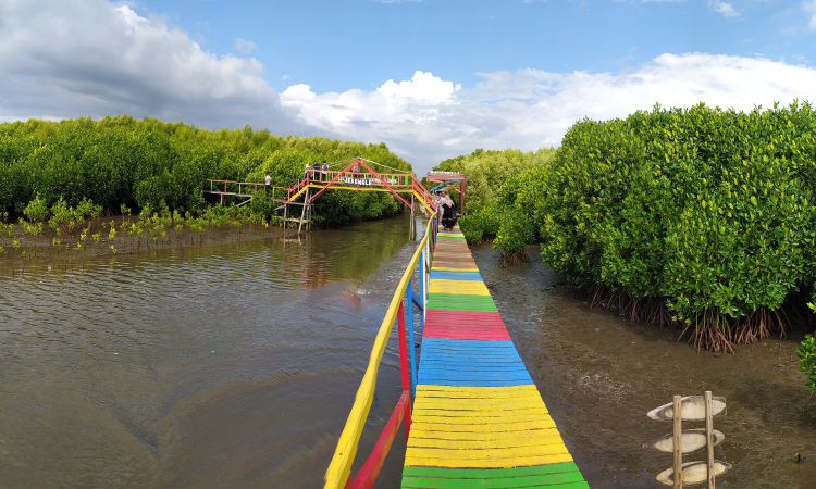 air panas lejja, benteng rotterdam, danau tempe, fort rotterdam, jalan somba opu, lejja, makassar, malino, pantai losari, pemandian air panas lejja, taman laut taka bonerate, taman nasional bantimurung, tanjung bira, tempat wisata, tempat wisata di makassar, tempat wisata makassar, trans studio, trans studio makassar, wisata makassar, top 51+ tempat wisata di makassar terbaik & terhits yang wajib dikunjungi