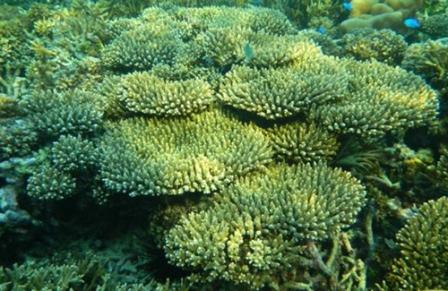air panas lejja, benteng rotterdam, danau tempe, fort rotterdam, jalan somba opu, lejja, makassar, malino, pantai losari, pemandian air panas lejja, taman laut taka bonerate, taman nasional bantimurung, tanjung bira, tempat wisata, tempat wisata di makassar, tempat wisata makassar, trans studio, trans studio makassar, wisata makassar, top 51+ tempat wisata di makassar terbaik & terhits yang wajib dikunjungi