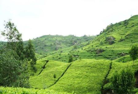 lokasi wisata di cianjur, objek wisata di cianjur, obyek wisata di cianjur, panduan wisata di cianjur, tempat wisata di cianjur, wisata di cianjur, top 53+ tempat wisata di cianjur terbaru & paling hits yang wajib dikunjungi