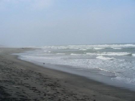 lokasi wisata di cianjur, objek wisata di cianjur, obyek wisata di cianjur, panduan wisata di cianjur, tempat wisata di cianjur, wisata di cianjur, top 53+ tempat wisata di cianjur terbaru & paling hits yang wajib dikunjungi