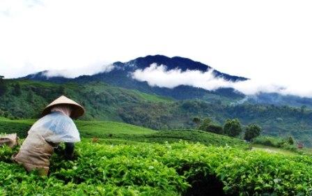 lokasi wisata di cianjur, objek wisata di cianjur, obyek wisata di cianjur, panduan wisata di cianjur, tempat wisata di cianjur, wisata di cianjur, top 53+ tempat wisata di cianjur terbaru & paling hits yang wajib dikunjungi
