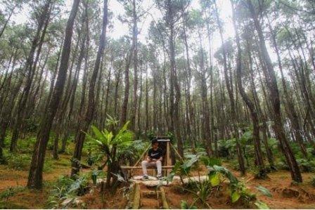lokasi wisata di cianjur, objek wisata di cianjur, obyek wisata di cianjur, panduan wisata di cianjur, tempat wisata di cianjur, wisata di cianjur, top 53+ tempat wisata di cianjur terbaru & paling hits yang wajib dikunjungi