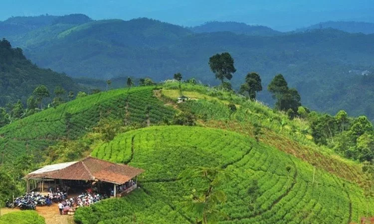 destinasi wisata di majalengka, objek wisata di majalengka, objek wisata majalengka, tempat liburan di majalengka, tempat wisata di majalengka, wisata majalengka, top 55+ tempat wisata di majalengka terbaru & terbaik yang wajib dikunjungi