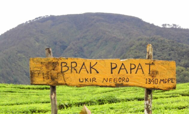 top 6+ daftar pilihan destinasi wisata malam hari di kota blitar yang wajib masuk list liburanmu