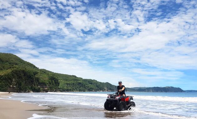 Top 6+ Hal Mengapa Pantai Sine Tulungagung Wajib Masuk Dalam Daftar Liburan Kita