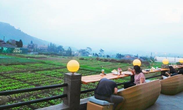 Top 6+ Rekomendasi Cafe Hits di Daerah Batu Yang Bikin Pikiran Tenang dan Wajib Kalian Coba!