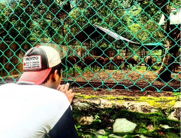 destinasi wisata di gresik, objek wisata di gresik, tempat wisata di gresik, wisata di gresik, wisata di gresik jawa timur, wisata di gresik terbaru, wisata gresik, wisata seru di gresik, top 63+ tempat wisata di gresik terbaru & paling hits yang wajib dikunjungi!