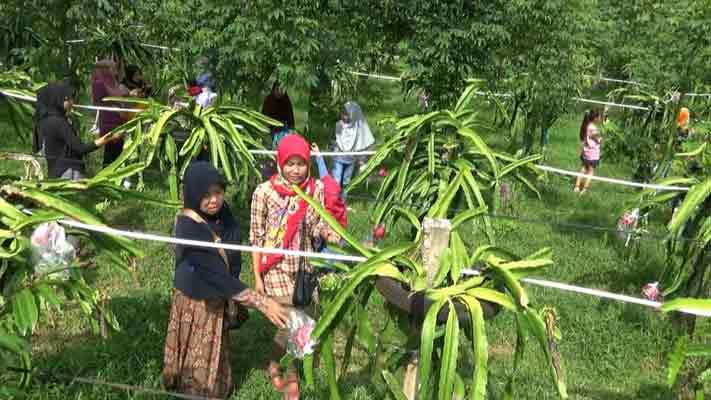 destinasi wisata di gresik, objek wisata di gresik, tempat wisata di gresik, wisata di gresik, wisata di gresik jawa timur, wisata di gresik terbaru, wisata gresik, wisata seru di gresik, top 63+ tempat wisata di gresik terbaru & paling hits yang wajib dikunjungi!