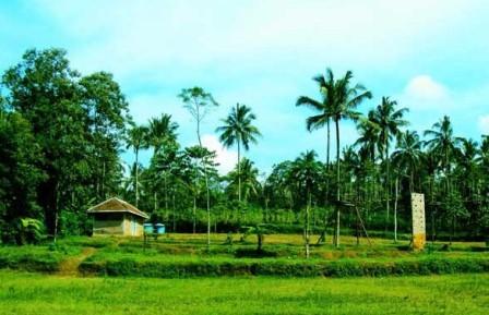 agrowisata karangsari, arung jeram soko, blitar, candi penataran, gua embultuk, istana gebang, pantai gondo mayit, pantai jolosutro, pantai tambakrejo, pemandian sumber udel, penangkaran rusa maliran, tempat wisata, tempat wisata di blitar, tempat wisata di jawa timur, wisata blitar, top 64+ tempat wisata di blitar terbaru & paling hits yang wajib dikunjungi