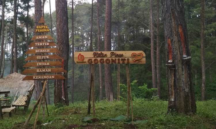 agrowisata karangsari, arung jeram soko, blitar, candi penataran, gua embultuk, istana gebang, pantai gondo mayit, pantai jolosutro, pantai tambakrejo, pemandian sumber udel, penangkaran rusa maliran, tempat wisata, tempat wisata di blitar, tempat wisata di jawa timur, wisata blitar, top 64+ tempat wisata di blitar terbaru & paling hits yang wajib dikunjungi