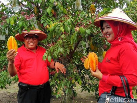 agrowisata karangsari, arung jeram soko, blitar, candi penataran, gua embultuk, istana gebang, pantai gondo mayit, pantai jolosutro, pantai tambakrejo, pemandian sumber udel, penangkaran rusa maliran, tempat wisata, tempat wisata di blitar, tempat wisata di jawa timur, wisata blitar, top 64+ tempat wisata di blitar terbaru & paling hits yang wajib dikunjungi