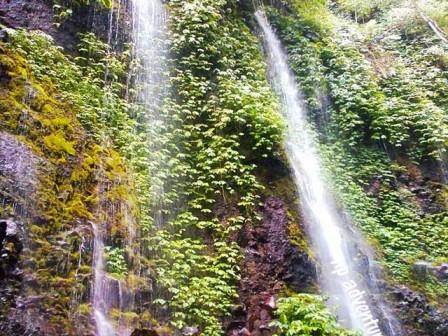 agrowisata karangsari, arung jeram soko, blitar, candi penataran, gua embultuk, istana gebang, pantai gondo mayit, pantai jolosutro, pantai tambakrejo, pemandian sumber udel, penangkaran rusa maliran, tempat wisata, tempat wisata di blitar, tempat wisata di jawa timur, wisata blitar, top 64+ tempat wisata di blitar terbaru & paling hits yang wajib dikunjungi