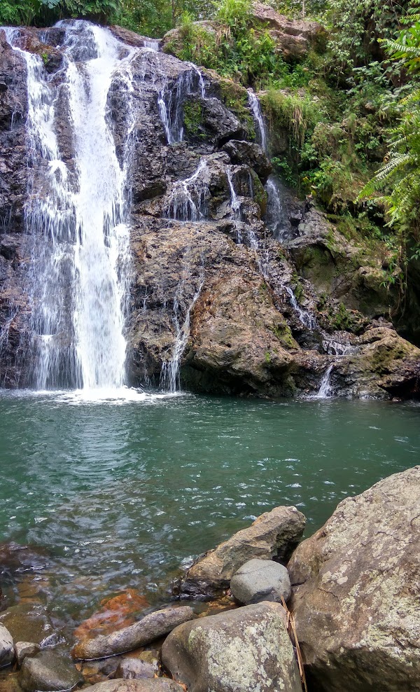 air terjun di trenggalek, alamat air terjun di trenggalek, jurug di trenggalek, keindahan air terjun di trenggalek, wisata air terjun di trenggalek, top 7+ air terjun di trenggalek paling indah & memukau, harga tiket & alamat lengkap!