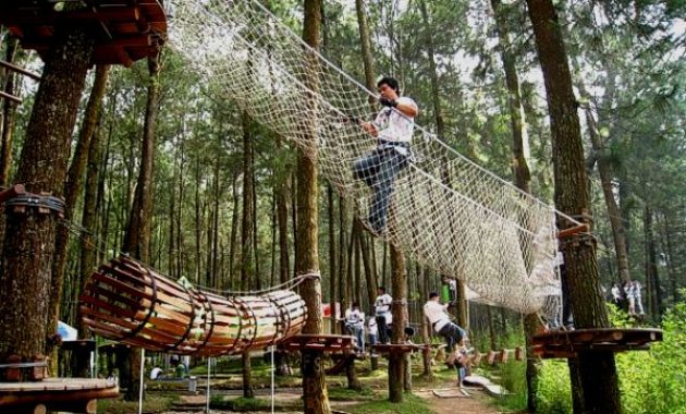 Top 7+ Hal Penting Sebelum Berlibur ke Kopeng Treetop Advanture Park