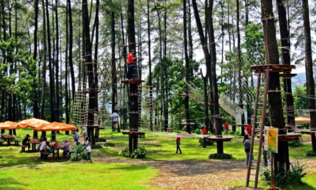 top 7+ hal penting sebelum berlibur ke kopeng treetop advanture park