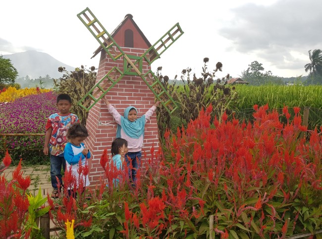 destinasi wisata di pandeglang, objek wisata di pandeglang, tempat wisata di pandeglang, tujuan wisata di pandeglang, wisata hits di pandeglang, wisata pandeglang, top 7+ tempat wisata hits di pandeglang dengan view menawan dan instagramable