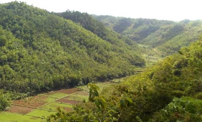 objek wisata gunung kidul, tempat wisata di gunung kidul, tempat wisata gunung kidul, wisata gunung kidul, top 72+ tempat wisata gunung kidul terbaru & terpopuler yg wajib dikunjungi!