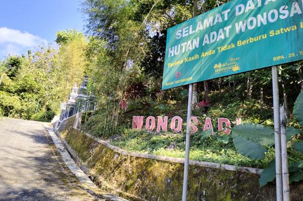 objek wisata gunung kidul, tempat wisata di gunung kidul, tempat wisata gunung kidul, wisata gunung kidul, top 72+ tempat wisata gunung kidul terbaru & terpopuler yg wajib dikunjungi!