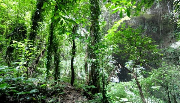 objek wisata gunung kidul, tempat wisata di gunung kidul, tempat wisata gunung kidul, wisata gunung kidul, top 72+ tempat wisata gunung kidul terbaru & terpopuler yg wajib dikunjungi!