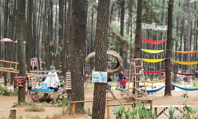 Top 8+ Pesona Gunung Pancar, Jangan Ragu-Ragu Berkunjung Kesini!