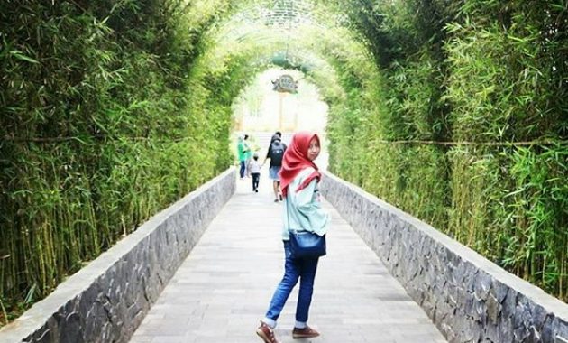 top 9+ alasan mengapa kita wajib berkunjung ke eco green park batu