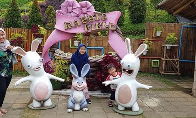 top 9+ alasan yang membuat taman kelinci batu sangat cocok menjadi wisata keluarga