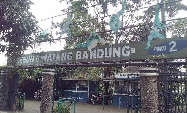 Top 9+ Atraksi Keren di Kebun Binatang Bandung Yang Wajib Dikunjungi