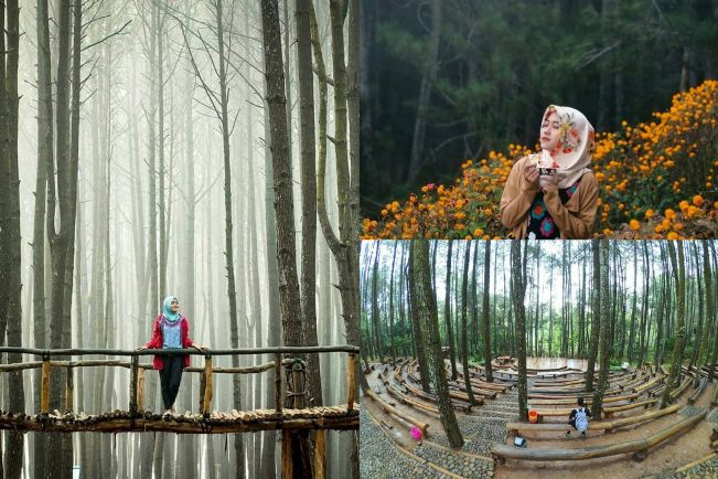 air terjun di bantul, bantul, curug di bantul, pantai di bantul, tempat liburan akan di bantul, tempat liburan di bantul, tempat rekreasi di bantul, tempat wisata alam di bantul, tempat wisata di bantul, wisata bantul, wisata di bantul, top 94+ tempat wisata di bantul terbaru & paling hits yang wajib dikunjungi!