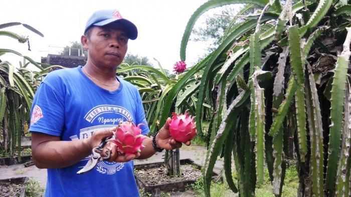 air terjun di bantul, bantul, curug di bantul, pantai di bantul, tempat liburan akan di bantul, tempat liburan di bantul, tempat rekreasi di bantul, tempat wisata alam di bantul, tempat wisata di bantul, wisata bantul, wisata di bantul, top 94+ tempat wisata di bantul terbaru & paling hits yang wajib dikunjungi!