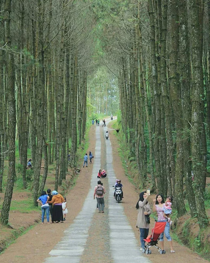 air terjun di magelang, arung jeram di magelang, destinasi wisata di magelang, keindahan magelang, objek wisata di magelang, tempat liburan di magelang, tempat wisata alam di magelang, tempat wisata di magelang, tempat wisata kuliner di magelang, tempat wisata magelang, tujuan wisata di magelang, wisata di magelang, wisata magelang, wisata magelang jawa tengah, top 98+ tempat wisata di magelang terbaru & hits yang wajib dikunjungi