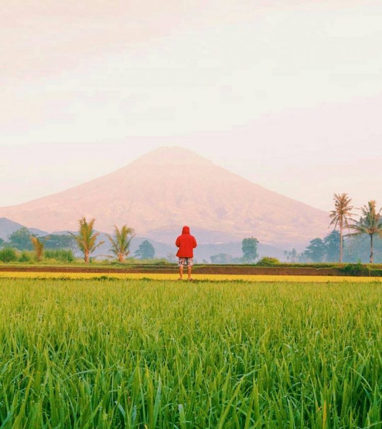 air terjun di magelang, arung jeram di magelang, destinasi wisata di magelang, keindahan magelang, objek wisata di magelang, tempat liburan di magelang, tempat wisata alam di magelang, tempat wisata di magelang, tempat wisata kuliner di magelang, tempat wisata magelang, tujuan wisata di magelang, wisata di magelang, wisata magelang, wisata magelang jawa tengah, top 98+ tempat wisata di magelang terbaru & hits yang wajib dikunjungi