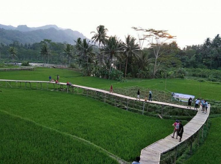 air terjun di magelang, arung jeram di magelang, destinasi wisata di magelang, keindahan magelang, objek wisata di magelang, tempat liburan di magelang, tempat wisata alam di magelang, tempat wisata di magelang, tempat wisata kuliner di magelang, tempat wisata magelang, tujuan wisata di magelang, wisata di magelang, wisata magelang, wisata magelang jawa tengah, top 98+ tempat wisata di magelang terbaru & hits yang wajib dikunjungi