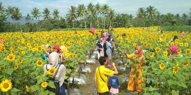 air terjun di magelang, arung jeram di magelang, destinasi wisata di magelang, keindahan magelang, objek wisata di magelang, tempat liburan di magelang, tempat wisata alam di magelang, tempat wisata di magelang, tempat wisata kuliner di magelang, tempat wisata magelang, tujuan wisata di magelang, wisata di magelang, wisata magelang, wisata magelang jawa tengah, top 98+ tempat wisata di magelang terbaru & hits yang wajib dikunjungi