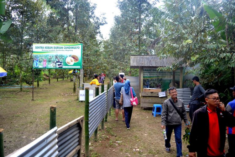 air terjun di magelang, arung jeram di magelang, destinasi wisata di magelang, keindahan magelang, objek wisata di magelang, tempat liburan di magelang, tempat wisata alam di magelang, tempat wisata di magelang, tempat wisata kuliner di magelang, tempat wisata magelang, tujuan wisata di magelang, wisata di magelang, wisata magelang, wisata magelang jawa tengah, top 98+ tempat wisata di magelang terbaru & hits yang wajib dikunjungi