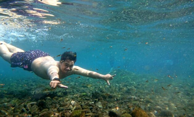 umbul tlatar, wisata kolam renang dan pemancingan asik di boyolali, Harga Tiket Masuk, Jalan Menuju Lokasi, Fasilitas, Pesona Umbul Tlatar