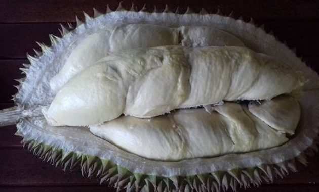 variatifnya berbagai macam durian di lokasi wisata watu simbar semarang