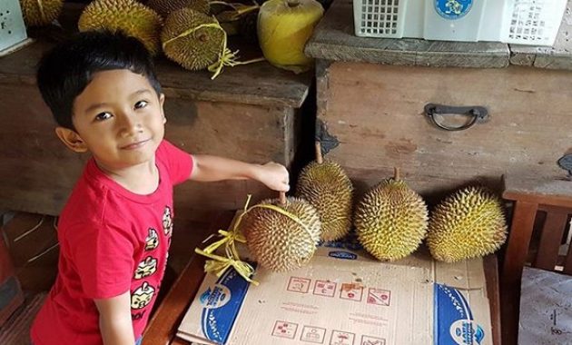 variatifnya berbagai macam durian di lokasi wisata watu simbar semarang