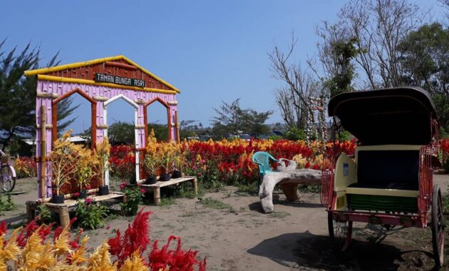warnai feeds instagrammu dengan berpose ditengah hamparan taman bunga asri bantul, Harga Tiket Masuk, Jalan Menuju Lokasi, Fasilitas, Spot Foto Instagramable, Pesona Taman Bunga Asri