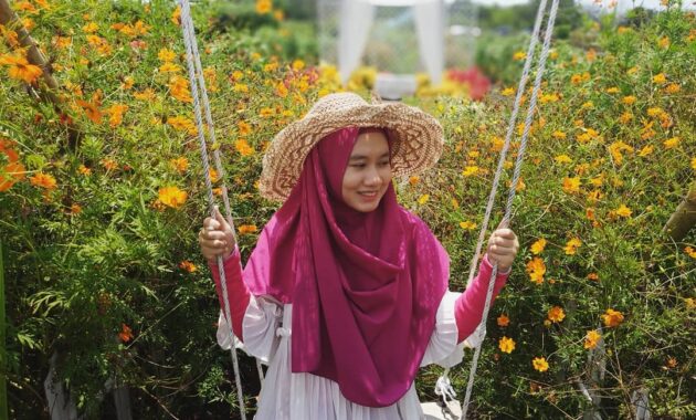 warnai feeds instagrammu dengan berpose ditengah hamparan taman bunga asri bantul, Harga Tiket Masuk, Jalan Menuju Lokasi, Fasilitas, Spot Foto Instagramable, Pesona Taman Bunga Asri