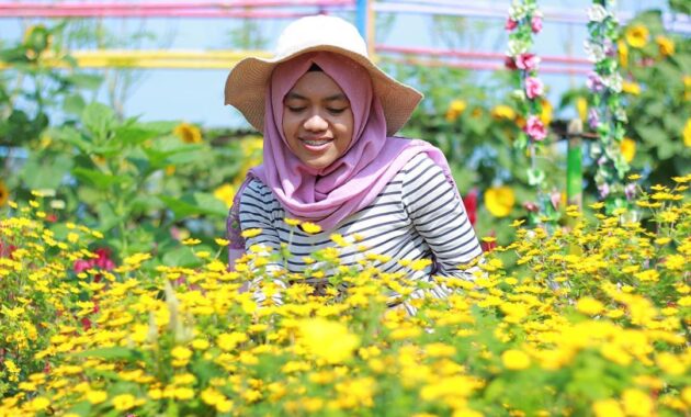 warnai feeds instagrammu dengan berpose ditengah hamparan taman bunga asri bantul, Harga Tiket Masuk, Jalan Menuju Lokasi, Fasilitas, Spot Foto Instagramable, Pesona Taman Bunga Asri