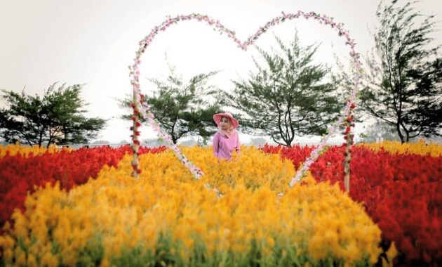 warnai feeds instagrammu dengan berpose ditengah hamparan taman bunga asri bantul, Harga Tiket Masuk, Jalan Menuju Lokasi, Fasilitas, Spot Foto Instagramable, Pesona Taman Bunga Asri