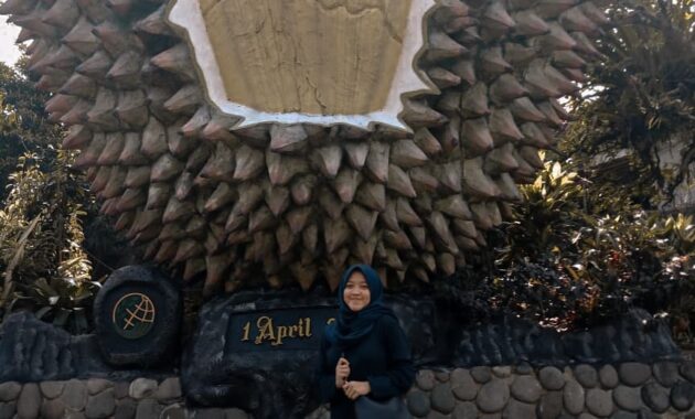 warso farm, surga wisata para pecinta durian di kota bogor, Harga Tiket Masuk, Jalan Menuju Lokasi, Fasilitas, Wahana Menarik , Sekilas Warso Farm