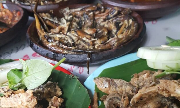 warung iwak wader dermaga kediri, kuliner pinggir kali yang bikin nagih, Daftar Harga Menu, Daftar Harga Minuman, Jalan Menuju Lokasi, Fasilitas, Keistimewaan 