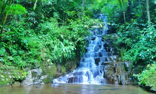 wisata air terjun irenggolo, Wisata Alam, Keindahan Lokasi, Rute Menuju Lokasi, Jam Buka, Harga Tiket Masuk
