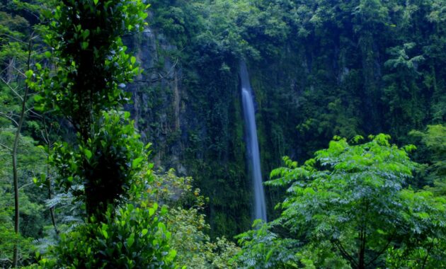 wisata air terjun kalipancur di wilayah semarang, defisini back to nature yang sesungguhnya, Harga Tiket Masuk, Jalan Menuju Lokasi, Fasilitas, Sekilas Air Terjun Kalipancur, Pesona Air Terjun Kalipancur