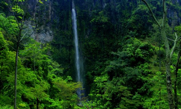 wisata air terjun kalipancur di wilayah semarang, defisini back to nature yang sesungguhnya, Harga Tiket Masuk, Jalan Menuju Lokasi, Fasilitas, Sekilas Air Terjun Kalipancur, Pesona Air Terjun Kalipancur