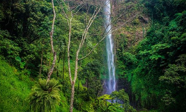 wisata air terjun kalipancur di wilayah semarang, defisini back to nature yang sesungguhnya, Harga Tiket Masuk, Jalan Menuju Lokasi, Fasilitas, Sekilas Air Terjun Kalipancur, Pesona Air Terjun Kalipancur