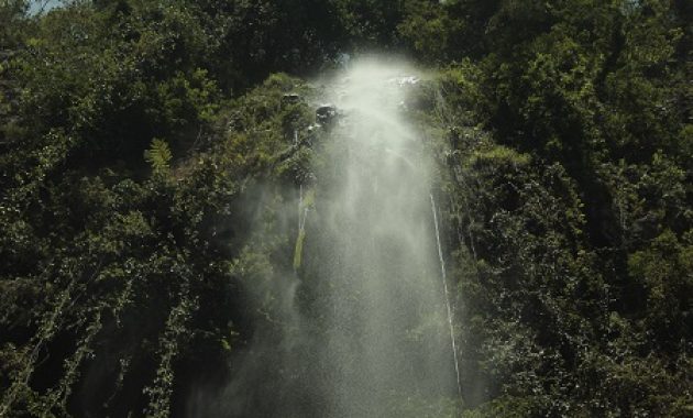 wisata air terjun kalipancur di wilayah semarang, defisini back to nature yang sesungguhnya, Harga Tiket Masuk, Jalan Menuju Lokasi, Fasilitas, Sekilas Air Terjun Kalipancur, Pesona Air Terjun Kalipancur